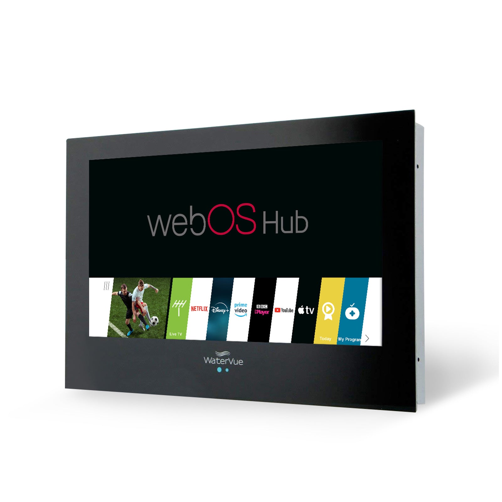 19" Watervue Bathroom TV Black webOS